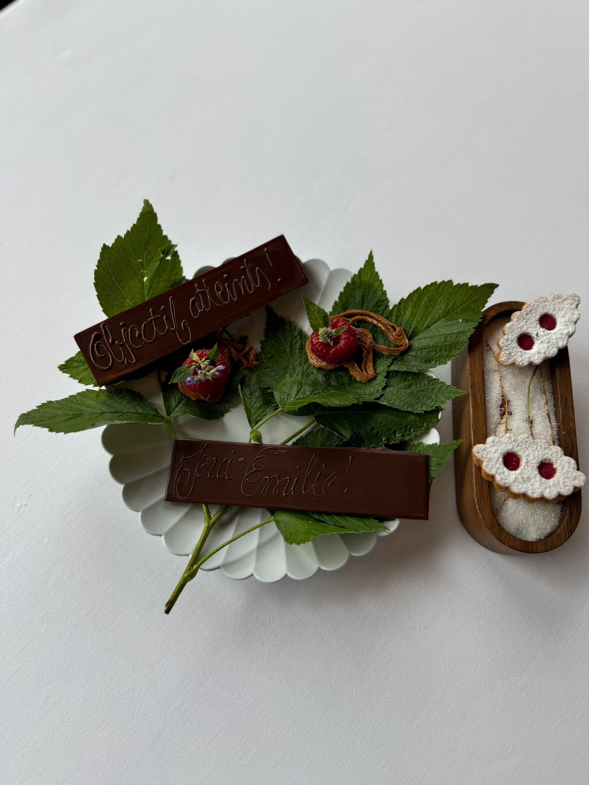 Chocolate bar on green leaf.